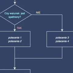 Schemat blokowy: pytanie "Czy warunek jest spełniony?", rozgałęzienie na "TAK" (polecenie 1, 2) i "NIE" (polecenie 3, 4). To prosty value object.
