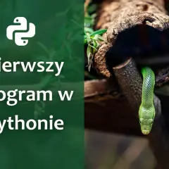 Zielony wąż wychyla się z pnia drzewa. Obok logo Pythona i napis "Pierwszy program w Pythonie" - proste rozwiązanie trudnego zagadnienia.