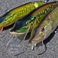 Trzy realistyczne przynęty wędkarskie Salmo Poland Floating, imitujące ryby. To właśnie takie przynęty, czyli baiting, kuszą drapieżniki.