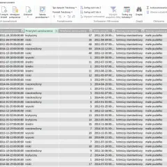 Dane do tabeli przestawnej: lista zamówień z priorytetem, datą, wielkością, transportem, opakowaniem, segmentem rynku i regionem.