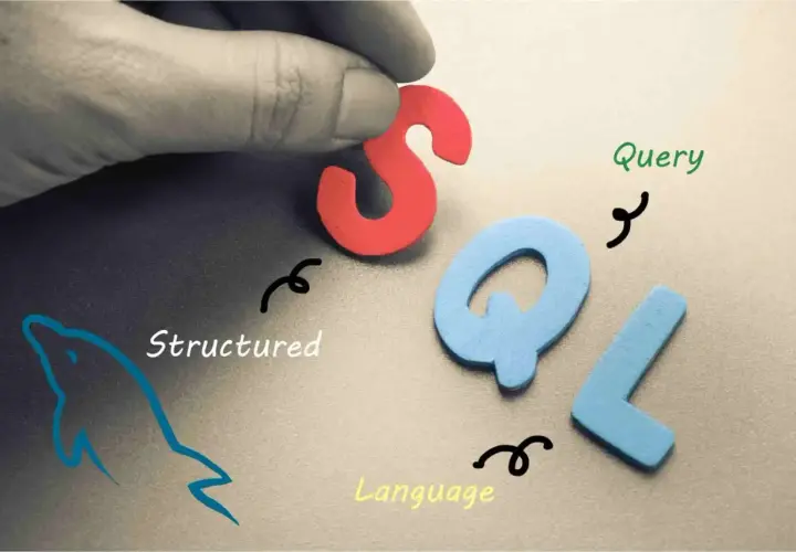 Litery S, Q, L tworzą napis SQL. Obok delfin i napisy "Structured", "Query", "Language". To jest właśnie SQL co to.