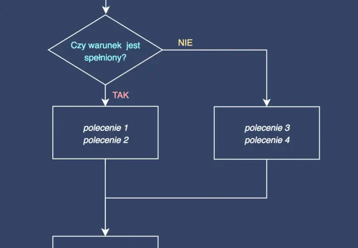 Schemat blokowy: pytanie "Czy warunek jest spełniony?", rozgałęzienie na "TAK" (polecenie 1, 2) i "NIE" (polecenie 3, 4). To prosty value object.