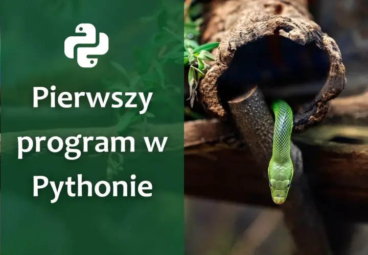 Zielony wąż wychyla się z pnia drzewa. Obok logo Pythona i napis "Pierwszy program w Pythonie" - proste rozwiązanie trudnego zagadnienia.