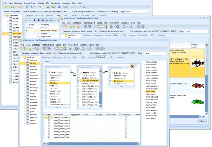Program do SQL z widokiem tabeli "customer", "orders" i "items". Widoczne są pola danych, relacje między tabelami i podgląd graficzny.