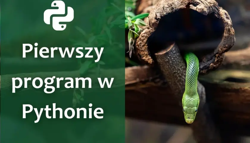 Zielony wąż wychyla się z pnia drzewa. Obok logo Pythona i napis "Pierwszy program w Pythonie" - proste rozwiązanie trudnego zagadnienia.