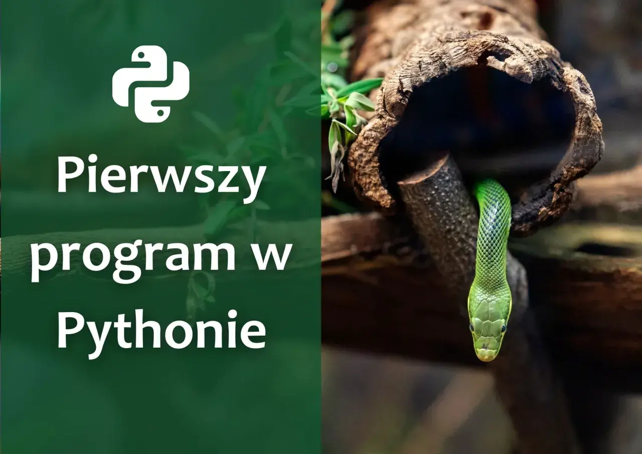 Zielony wąż wychyla się z pnia drzewa. Obok logo Pythona i napis "Pierwszy program w Pythonie" - proste rozwiązanie trudnego zagadnienia.