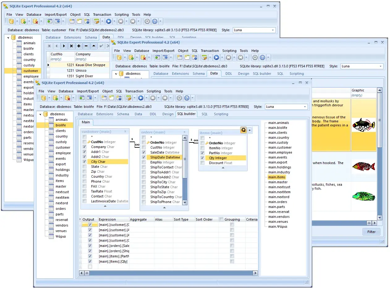 Program do SQL z widokiem tabeli "customer", "orders" i "items". Widoczne są pola danych, relacje między tabelami i podgląd graficzny.